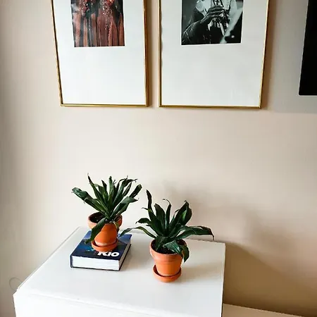 Santa Catarina - With Terrace ポルト