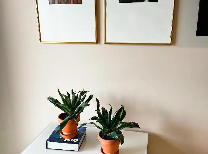 Santa Catarina - With Terrace Porto