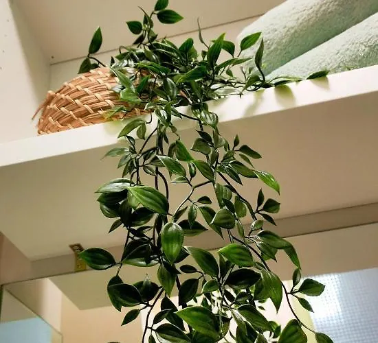 Santa Catarina - With Terrace * Porto