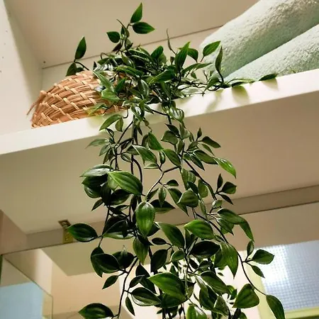 Santa Catarina - With Terrace * بورتو