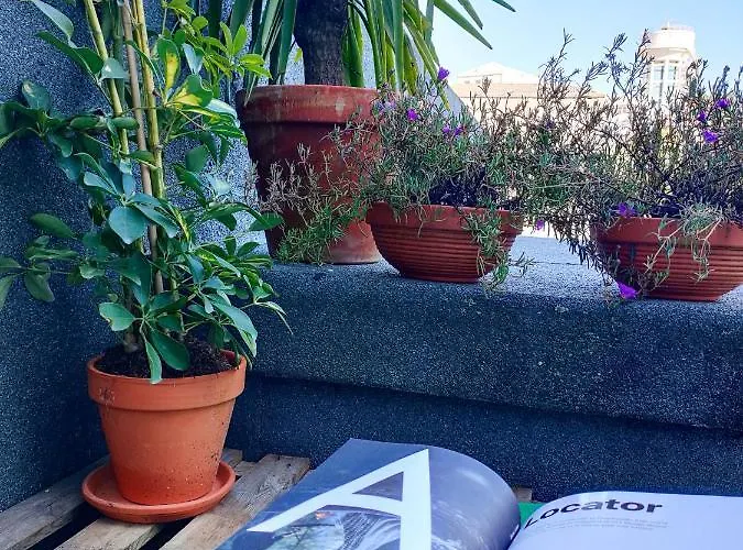 Santa Catarina - With Terrace * Порту